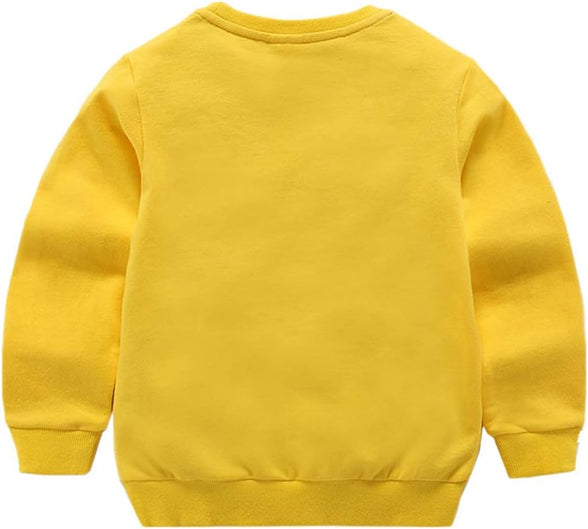 DCUTERQ Boys' Crewneck Thin Sweatshirt Girls Sport Long Sleeve Cotton Pullover Tops Kids Toddler Solid T-Shirt