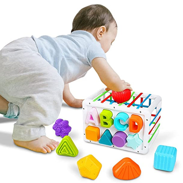 AM ANNA Baby Shape Sorting Toy, Sensory Sorting Bin with Elastic Bands, Colorful Cube with 14PCS Sensory Shape Blocks,Sorter Sorting Brain Toys for Ages 12 Months+ (15Pcs Baby Shape Sorting Toy)