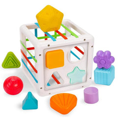 AM ANNA Shape Sorter Toy, Early Learning Montessori Toy for Baby, Colorful Cube Sensory Bins & 10 Pcs Blocks Fine Motor Skill Early Learning Preschool Educational Gift(Square)