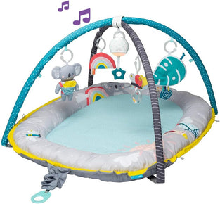 Taf Toys 4 In 1 Baby Play Mat And Infant Activity Gym, Piece Of 1
