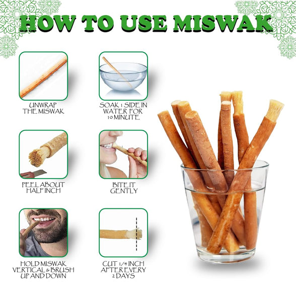 EVERPRIME Natural Miswak Stick| Chewable Toothbrush | Organic Teeth Cleaning & Whitening | Sewak Tooth Brush | 02 Miswak with one Holder | Vacuum Sealed for Freshness | Oral Care & Healthy Gums مسواك