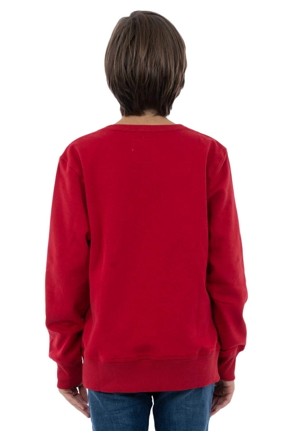 Levi's Kids Boy's Lvb Batwing Crewneck Sweatshirt