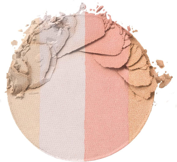 Blush Palette By Wet n Wild MegaGlo Illuminating Blush Makeup Powder Palette, Catwalk Pink, Highlighter Face Make Up