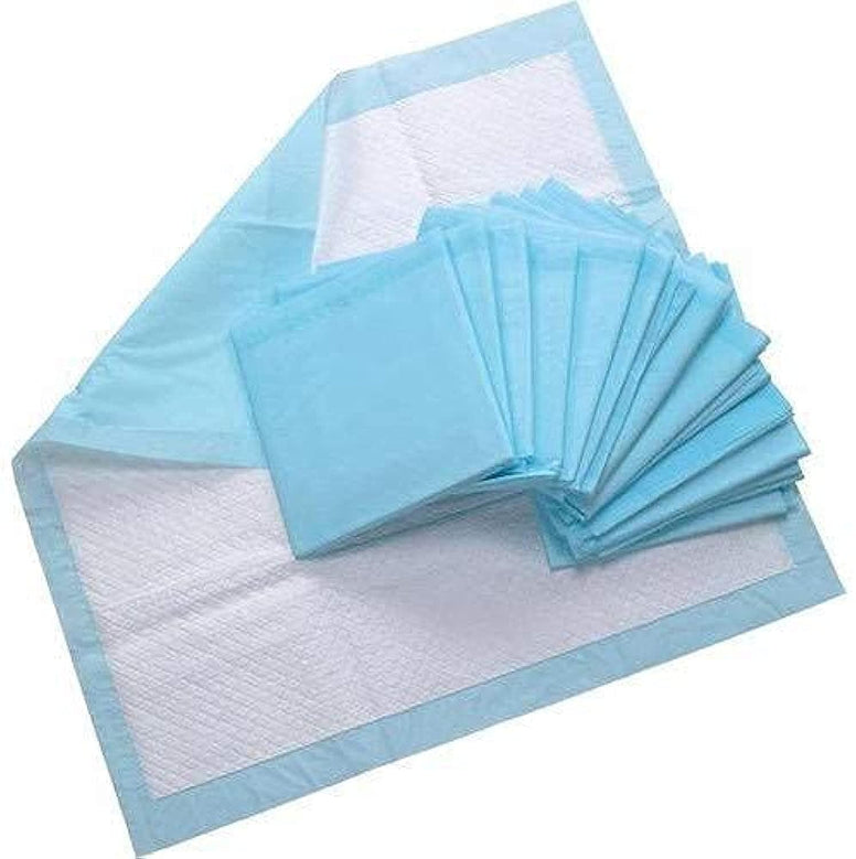 Wet Absorption Disposable Underpads – 60 cm X 90 cm for HOME CARE and PETS/Puppy Training Pads -10 Pcs/PKT