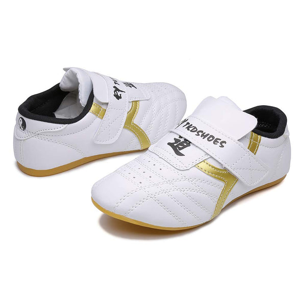 MSMAX Art Taekwondo Shoes Light Weight Boxing Karate Kung Fu Tai Chi Sneakers