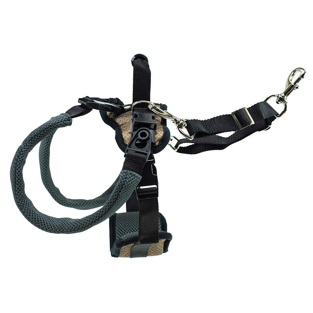 PetSafe CareLift Rear Support Harness - Lifting Aid with Handle - Great for Pet Mobility and Older Dogs - Comfortable, Breathable Material - Easy to Adjust - Medium, Carelift