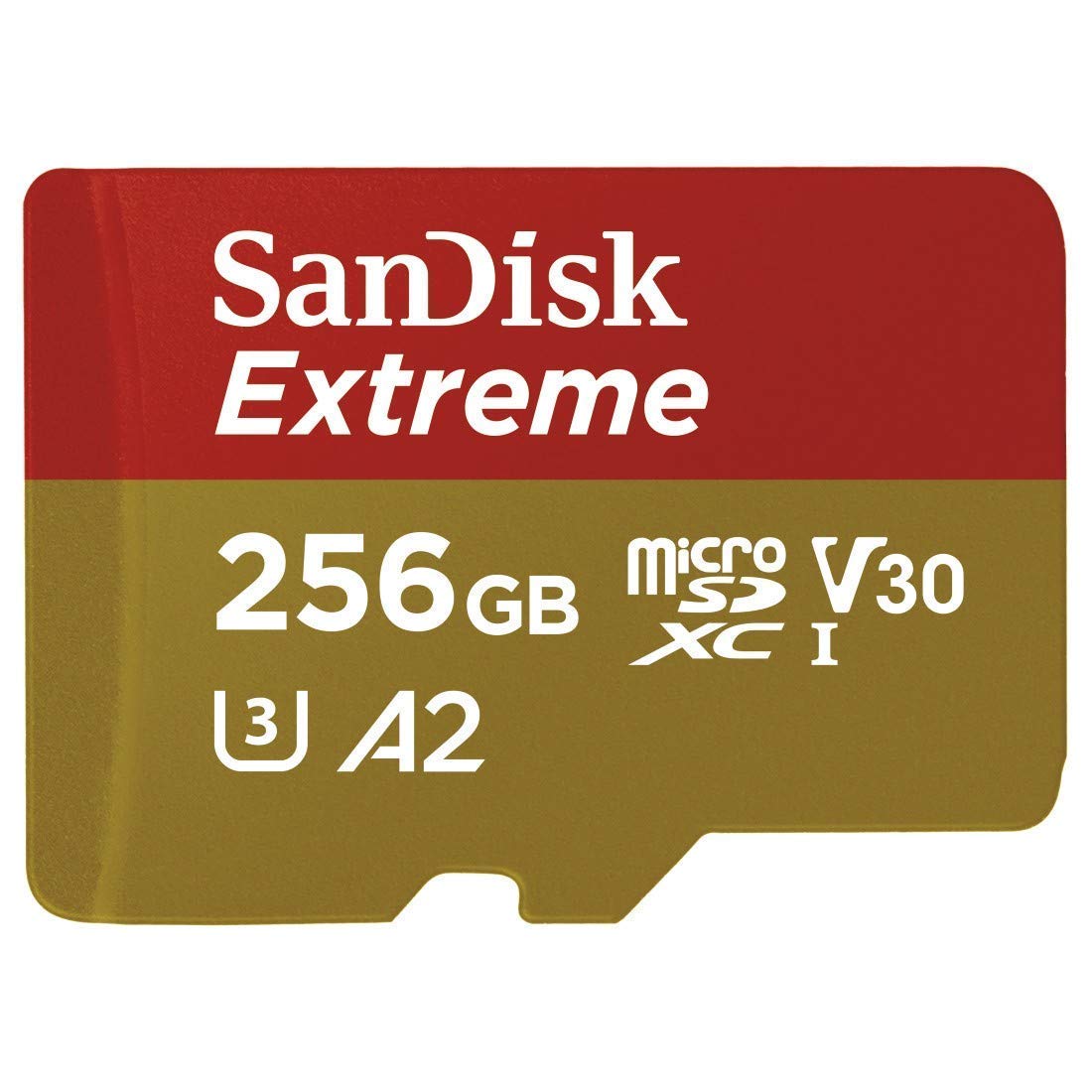 SanDisk Extreme 256GB MicroSD (2 Pack) Memory Card for GoPro Hero 9 Black Action Cam Hero9 SDXC (SDSQXA1-256G-GN6MN) UHS-1 V30 A2 Bundle with (1) Everything But Stromboli MicroSDXC & SD Card Reader