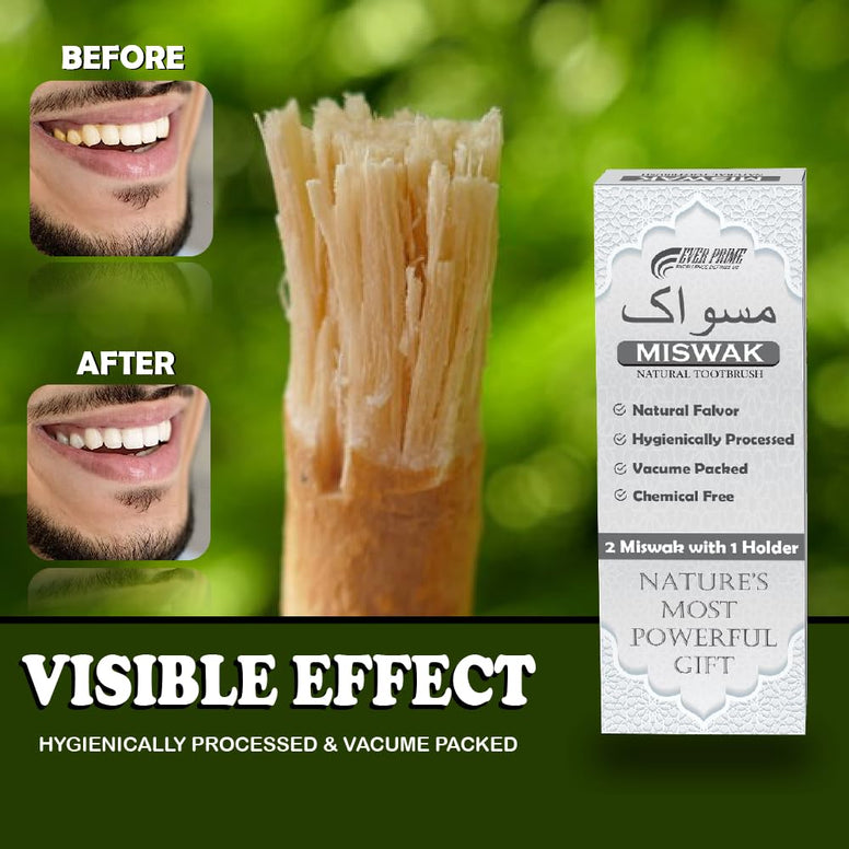 EVERPRIME Natural Miswak Stick| Chewable Toothbrush | Organic Teeth Cleaning & Whitening | Sewak Tooth Brush | 02 Miswak with one Holder | Vacuum Sealed for Freshness | Oral Care & Healthy Gums مسواك