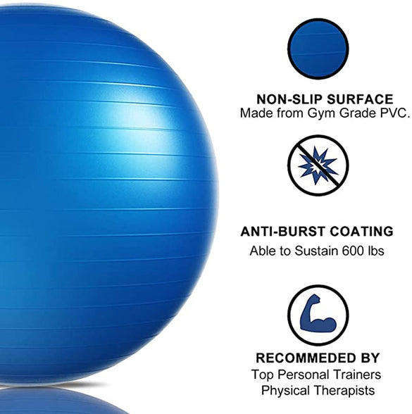 DELFINO Exercise Ball (45cm) with Quick Foot Pump, Professional Grade Anti Burst & Slip Resistant Stability Balance Ball for Yoga, Workout, Office, Classroom, Work Chair (Blue)