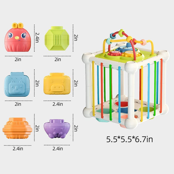 AM ANNA Shape Sorting Toys, Baby Sensory Bin Activity Cube with Elastic Bands,Montessori Colorful Cube Sensory Shape Blocks with Xylophone, Early Learning Infant Toys 12 Months+