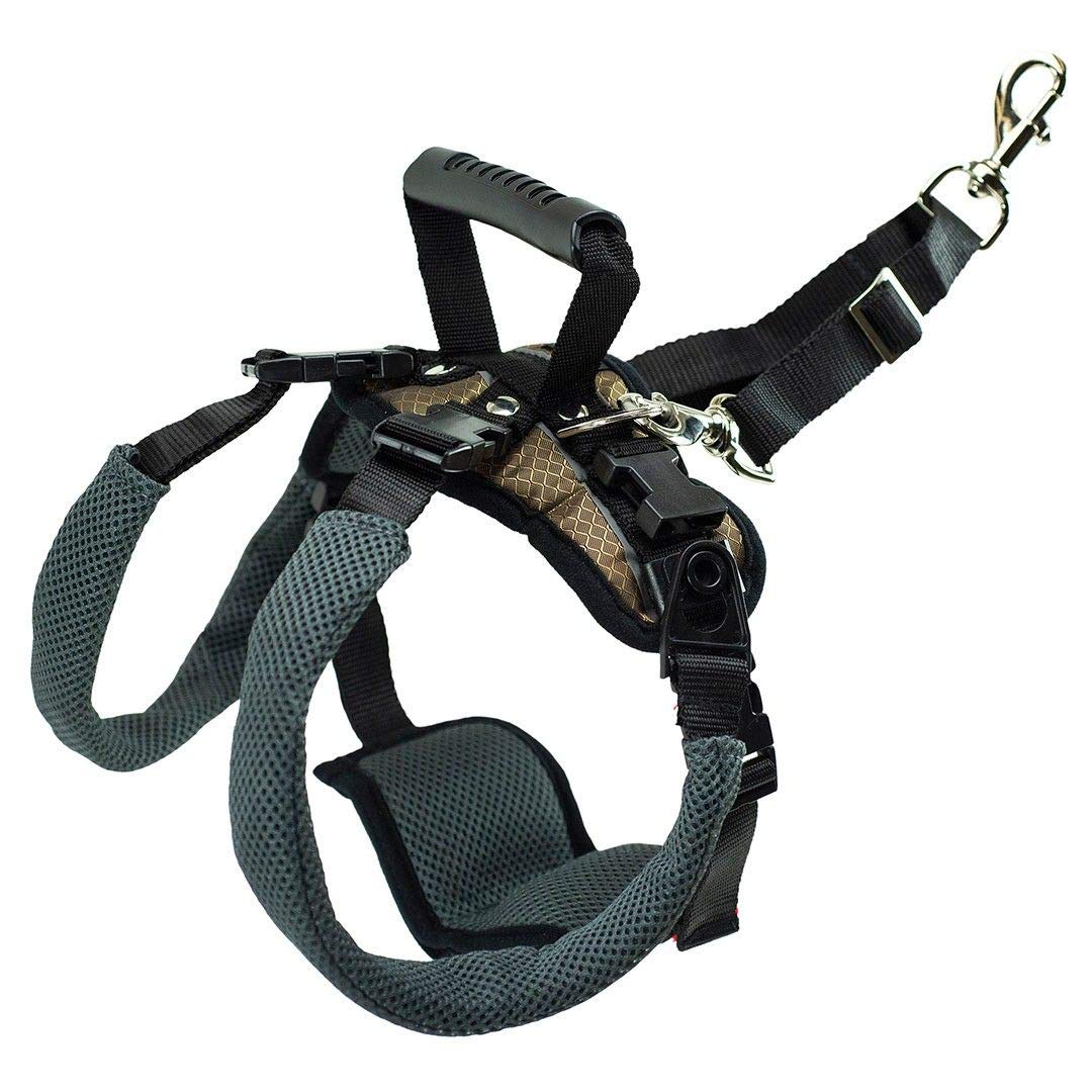 PetSafe CareLift Rear Support Harness - Lifting Aid with Handle - Great for Pet Mobility and Older Dogs - Comfortable, Breathable Material - Easy to Adjust - Medium, Carelift