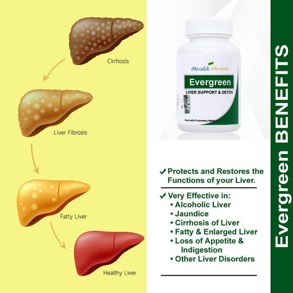 Ever Green Liver Support, Liver Detoxifier & Regulator