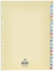 FIS FSDV351 Board Dividers, 180 Gsm, 1-20 English, A4 Size, Multicolor