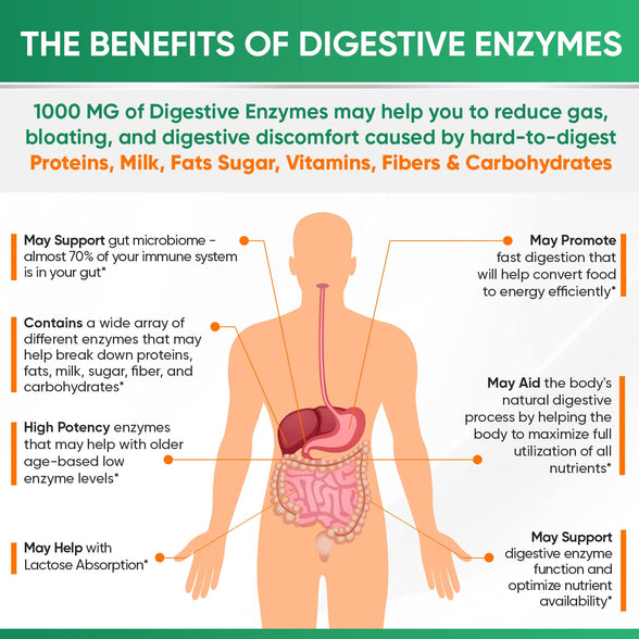 Wholesome Wellness Digestive Enzymes (1000mg,180 Capsules)