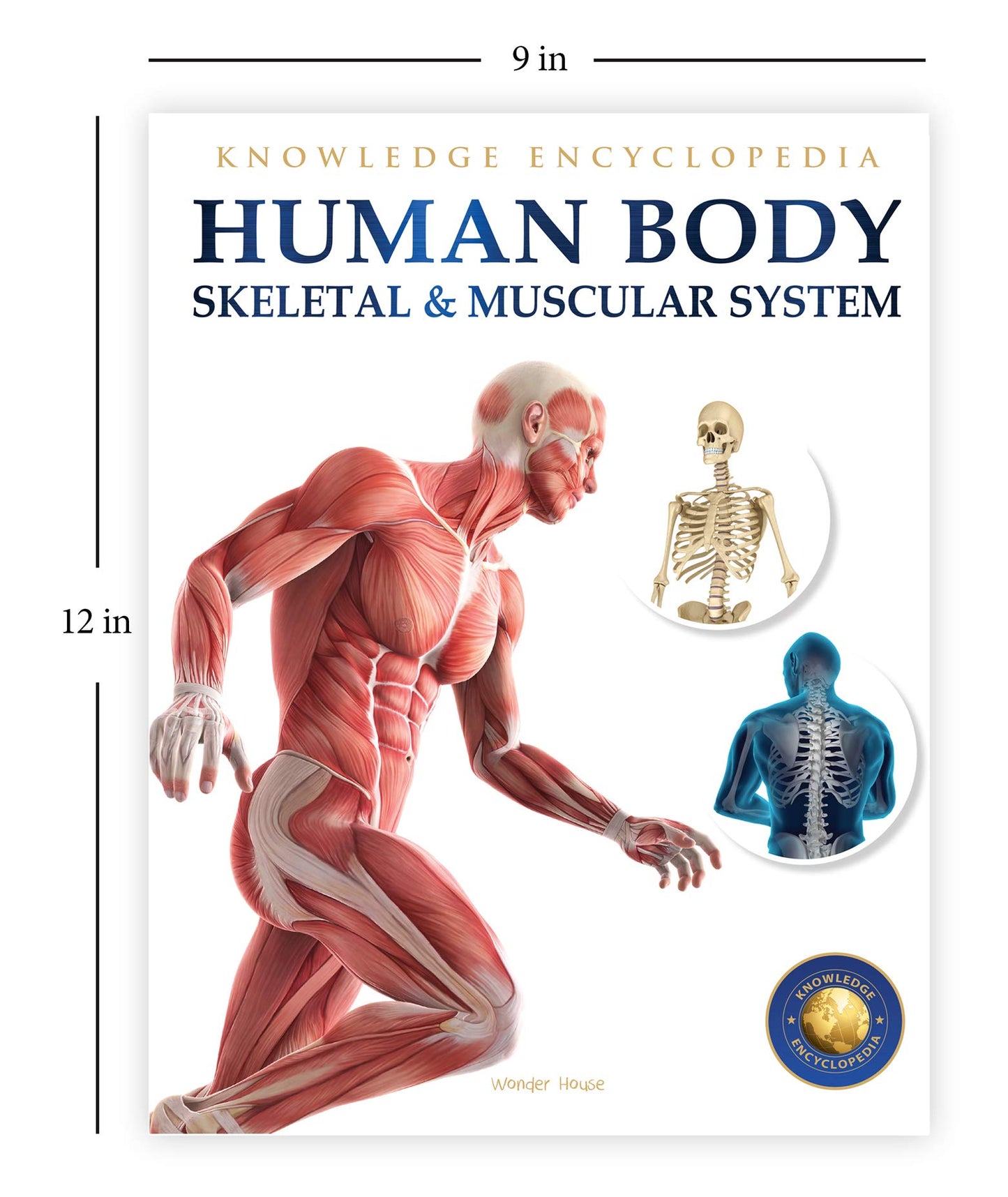 Human Body - Skeletal And Muscular System: Knowledge Encyclopedia For Children