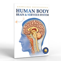 Human Body - Brain And Nervous System: Knowledge Encyclopedia For Children