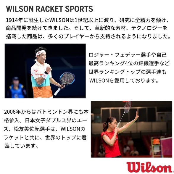 Wilson Championship Regular and Extra Duty Tennis Balls