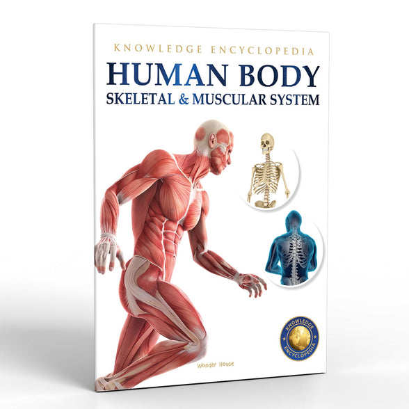 Human Body - Skeletal And Muscular System: Knowledge Encyclopedia For Children