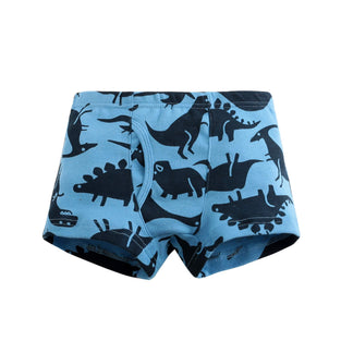 HommyFine Little Kid Boys Cartoon Underwear Little Boys Boxer Dinosaur Dog Shark Image Boys Underpants