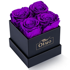 Otuo Preserved Roses in Gift Box, Real Eternal Rose Flower Gifts for Girlfriend, Mom, Women, Wife, Birthday Anniversary and Wedding (Purple)