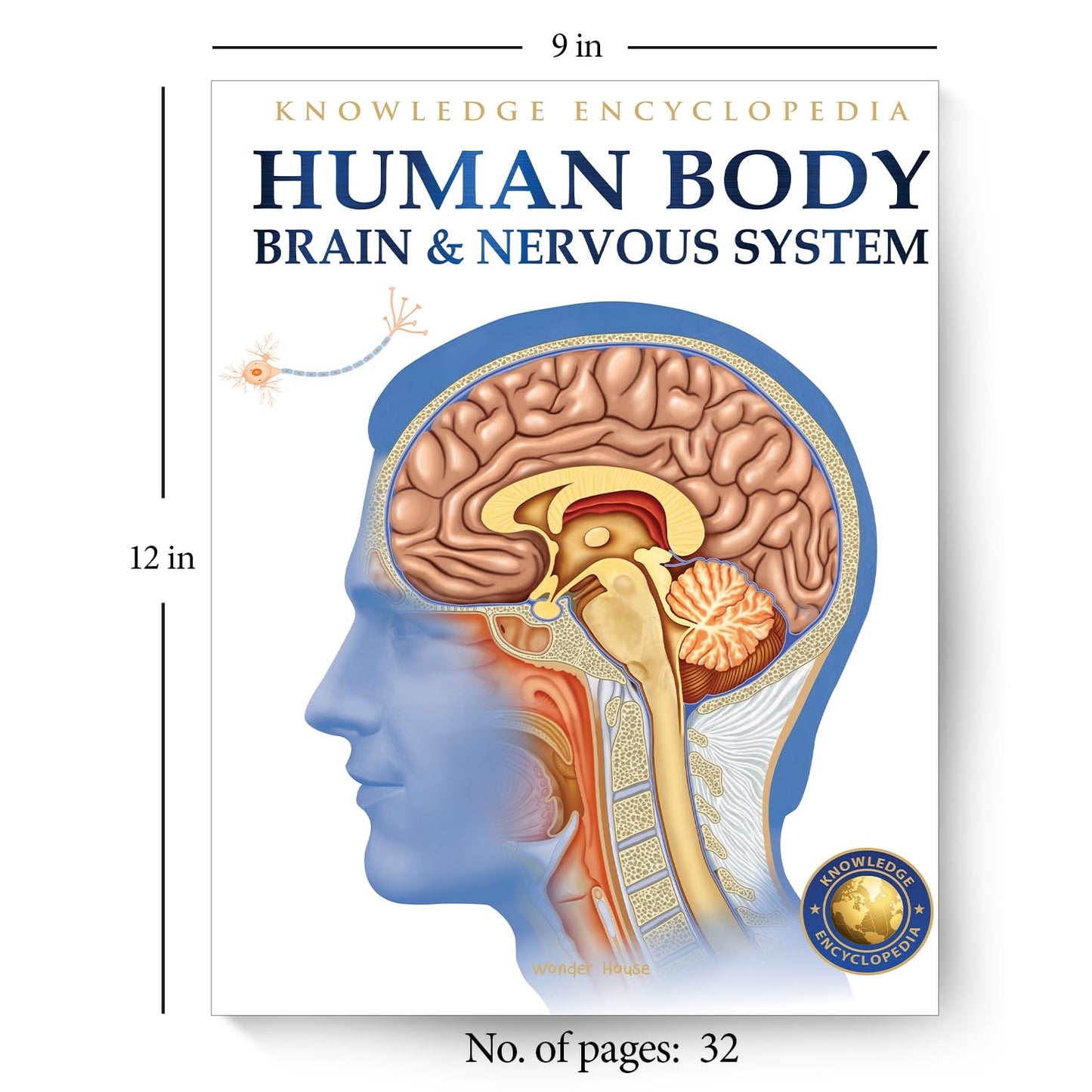 Human Body - Brain And Nervous System: Knowledge Encyclopedia For Children