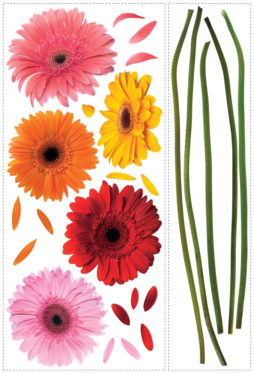 Roommates Gerber Daisies Wall Decal, Multi-Colour, Rmk1279Gm