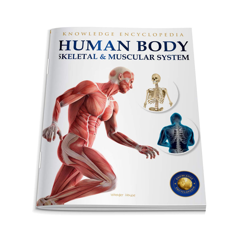 Human Body - Skeletal And Muscular System: Knowledge Encyclopedia For Children