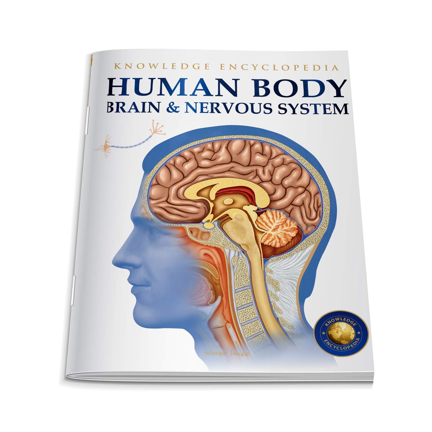 Human Body - Brain And Nervous System: Knowledge Encyclopedia For Children