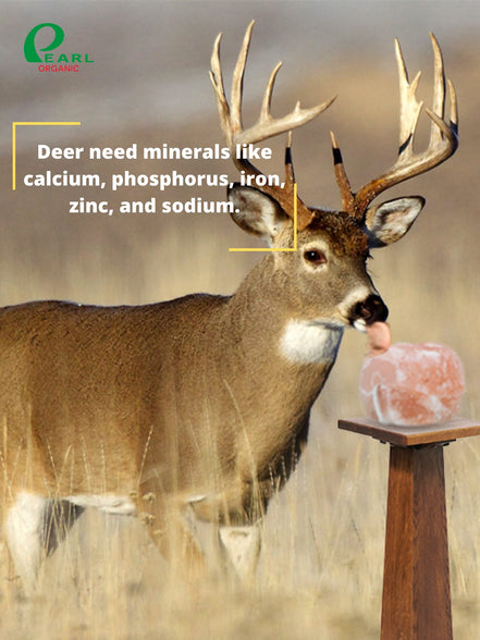 Pearl Organic Himalayan Pink Salt Lick on Rope for Animals,6-8lbs
