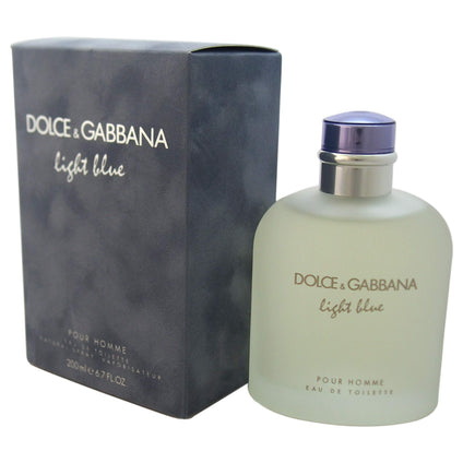 Dolce and Gabbana Light Blue - Perfume for Men, 200 ml - EDT Spray, Multi-colored