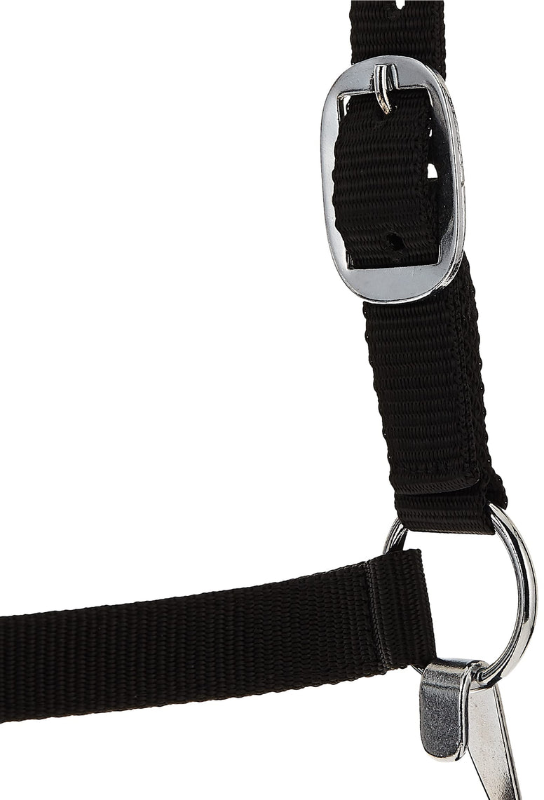 Tough 1 Economy Halter