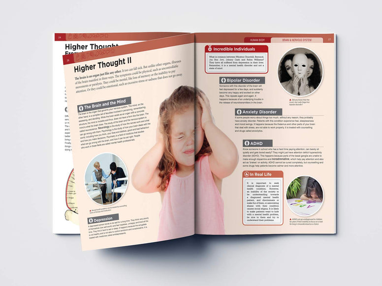 Human Body - Brain And Nervous System: Knowledge Encyclopedia For Children