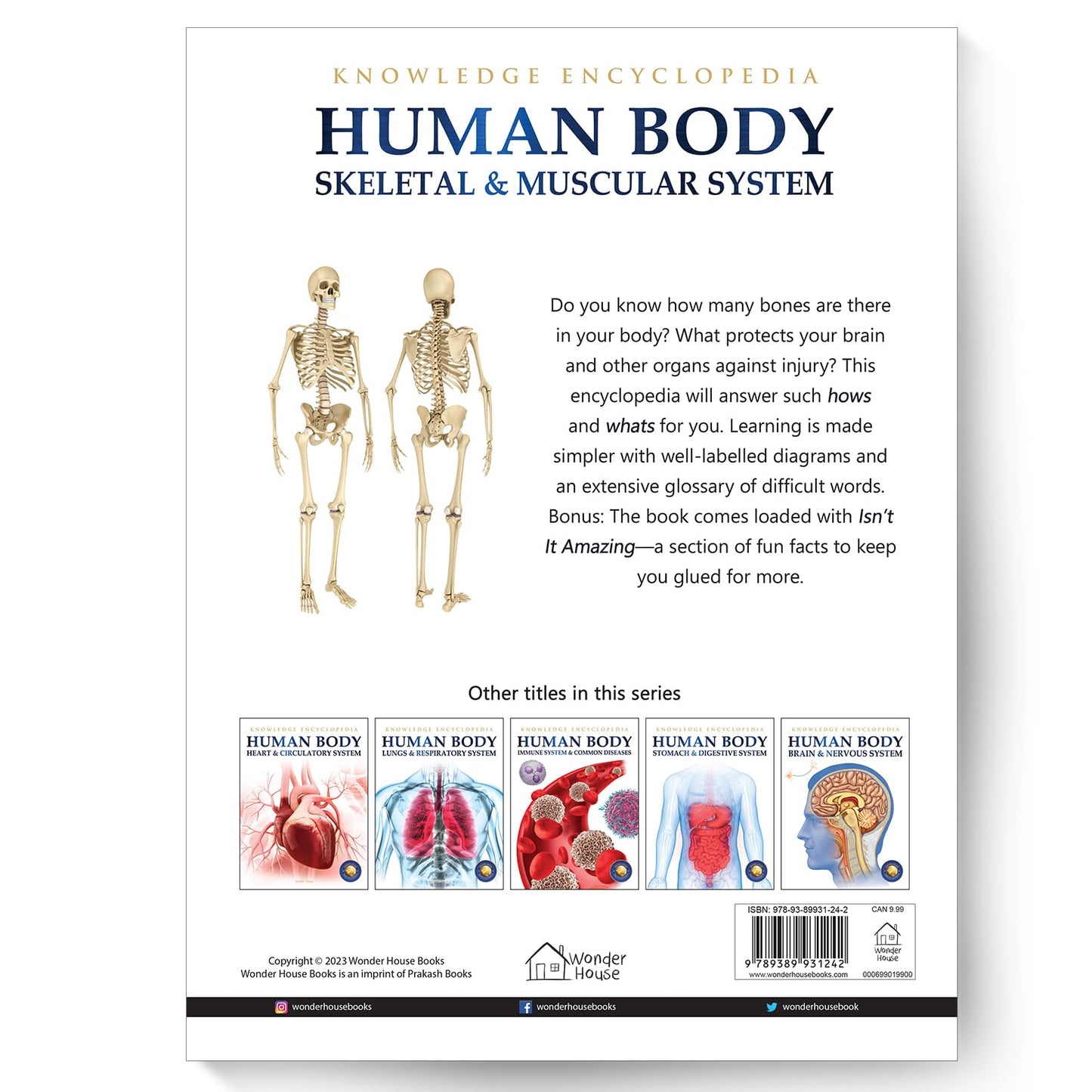 Human Body - Skeletal And Muscular System: Knowledge Encyclopedia For Children