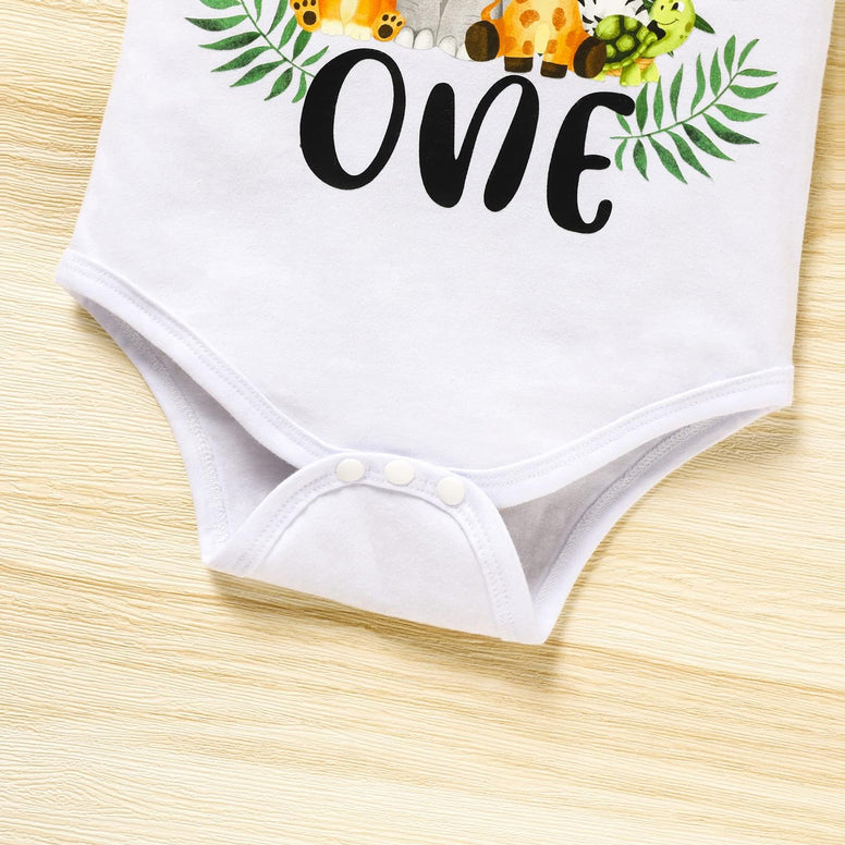 Excefore Baby Boy Funny First Birthday Clothes Infant Boy Bow Tie Romper Bodysuit Cake Smash Outfits, 80cm  9-12M