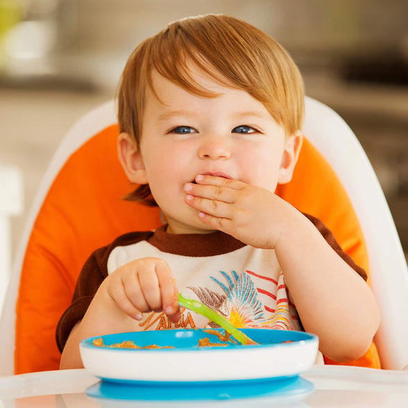 Munchkin Stay Put Suction Plate, 6 + Month, Blue, Pack of 1