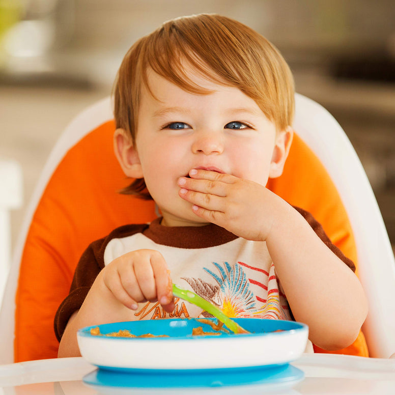 Munchkin Stay Put Suction Plate, 6 + Month, Blue, Pack of 1