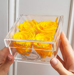 Real Roses That Last A Year - White Gold Quartet (Yellow)