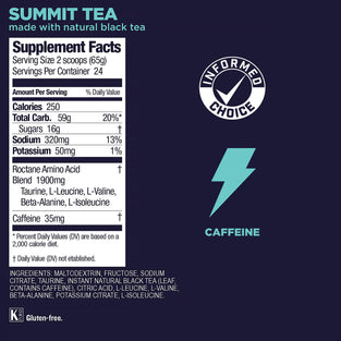GU Energy Roctane Ultra Endurance Energy Drink Mix, Summit Tea, 3.44-Pound Jar