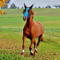 2 Pieces Horse Fly Mask Horse Mask with Ears Smooth and Elasticity Fly Mask with UV Protection (L, Purple, Blue)