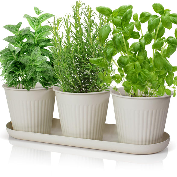 Beautiful Indoor Herb Planter Set of 3 - Perfect Set to Grow Your Fresh Herbs at Home - A Modern Gardening Planter Kit for Your Kitchen Window Sill Incl. Tray & Drainage Holes for Happy Plants