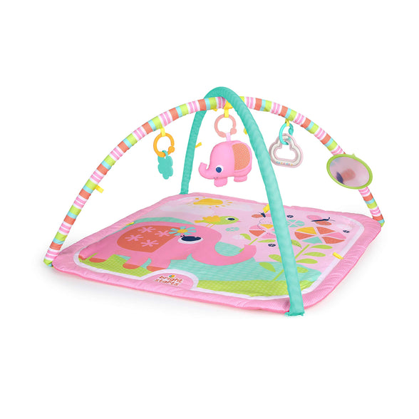 Bright Starts Fanciful Flowers™ Activity Gym, Piece Of 1