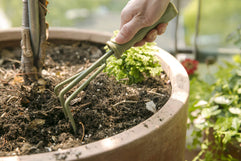 #2050-US-NEW Solution4Patio Garden Bend-Proof Small Hand Cultivator 9.6" L x 3.4" W Carbon Steel Garden Hand Rake Tool 3 Claws Lightweight PE Ergonomic Handle Grip Non-Slip