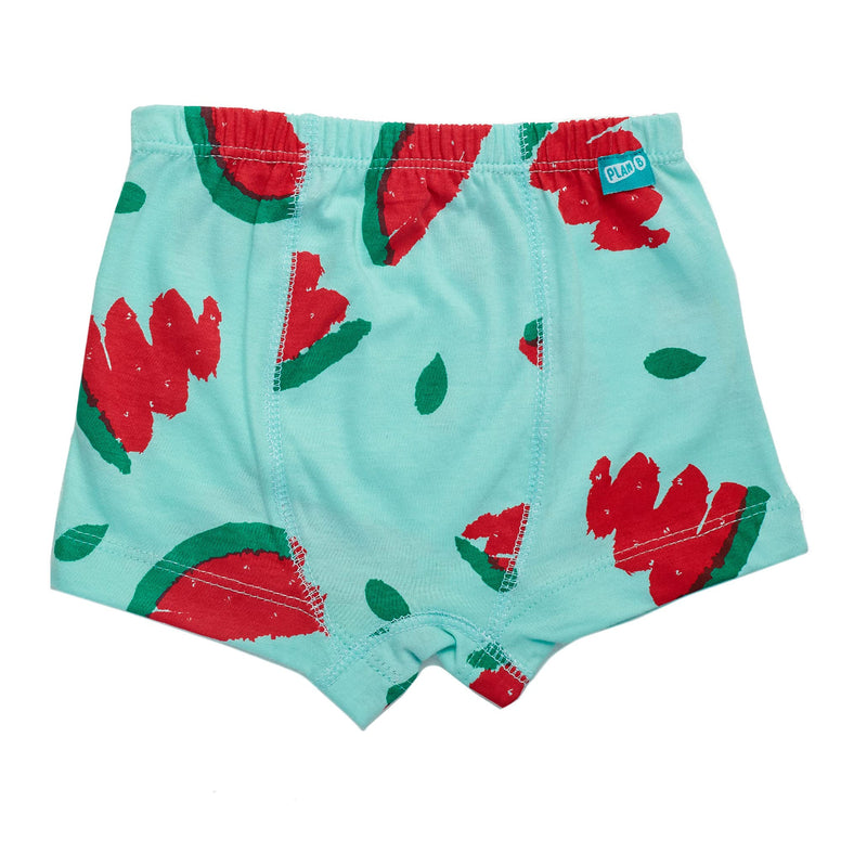 YouGotPlanB Kids Boys Boxers Fruity Prints of Watermelon, Oranges, and Banana - 100% Cotton (Set 3) 4-6Y