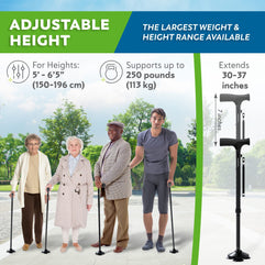 HONEYBULL Walking Cane for Men & Women - Foldable, Adjustable, Collapsible, Free Standing Cane, Pivot Tip, Heavy Duty, with Travel Bag | Walking Sticks, Folding Canes for Seniors & Adults