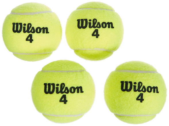 Wilson Champ Extra Duty Tennis Balls