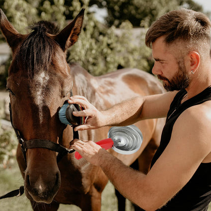 Stainless Steel Horse Brush,Reversible Stainless Steel Curry Comb 6 Rings Horse Curry Comb Metal Livestock Itching Brush with Soft Touch Grip