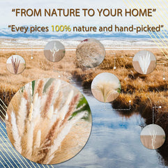 XBLDS Natural Pampas Grass - 60 Pieces. Pampas Grass Large 45 CM, Dried Flowers Bouquet for Vases, Wedding Decorations & Home Decor. Fluffy Pampas Grass Ideal for Outdoor & Indoor Decorations