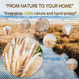 XBLDS Natural Pampas Grass - 60 Pieces. Pampas Grass Large 45 CM, Dried Flowers Bouquet for Vases, Wedding Decorations & Home Decor. Fluffy Pampas Grass Ideal for Outdoor & Indoor Decorations