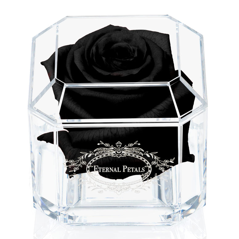 A 100% Real Rose That Lasts Years - Eternal Petals, Handmade in Dubai – White Gold Solo (Black)