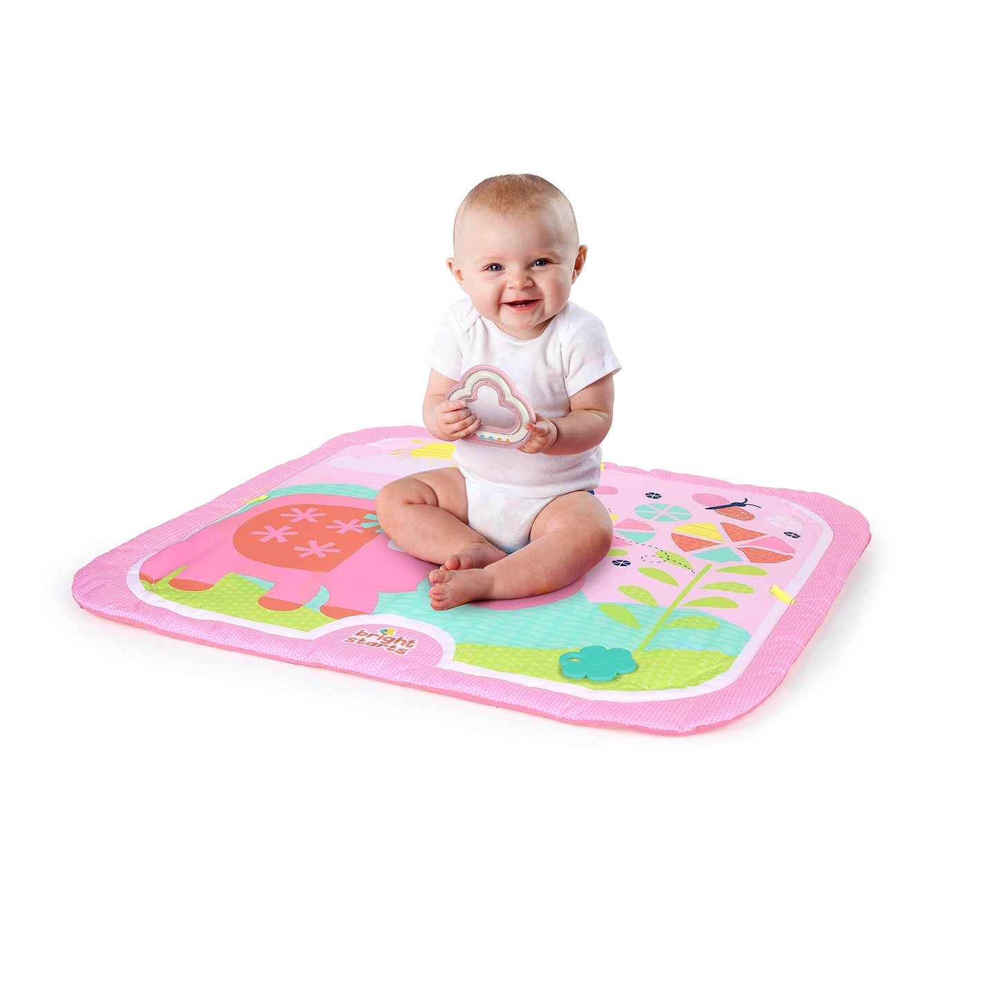 Bright Starts Fanciful Flowers™ Activity Gym, Piece Of 1